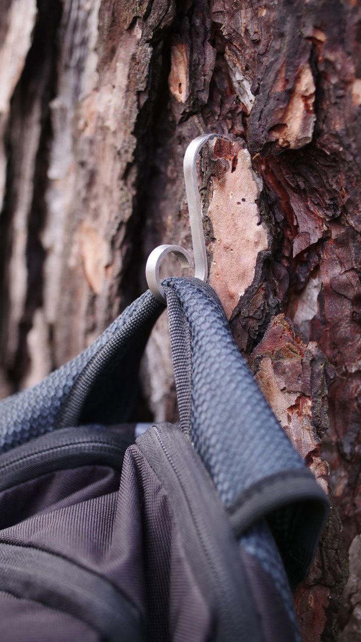 barqHook gripping pine bark while holding a bag