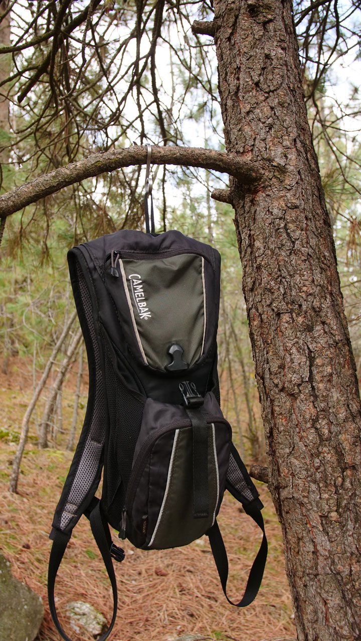 Hydration pack hanging from a barqHook on a pine branch